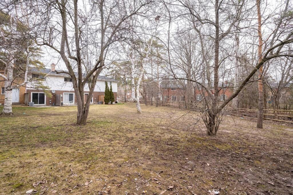 Harmony Home Near University Of Γουότερλου Εξωτερικό φωτογραφία